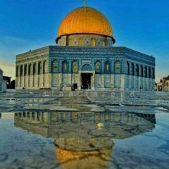 دمت يا أقصى لنا - محمد العلمي