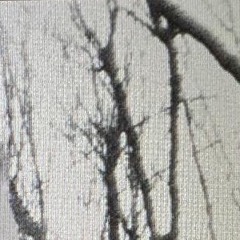 HATE OR HATE // ART.14