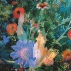 I do what I want baby