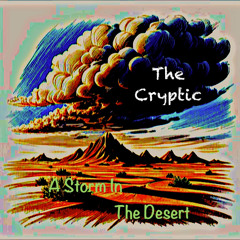 A Storm In The Desert