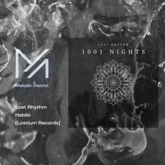 PREMIERE: Lost Rhythm - Habibi [Lostium Records]