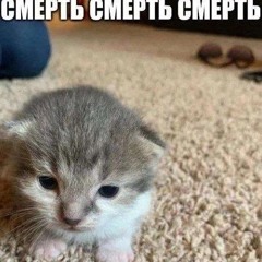 сво