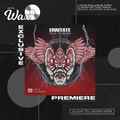 OTW Premiere: Erritate - The Birdman [Echo Chamber]