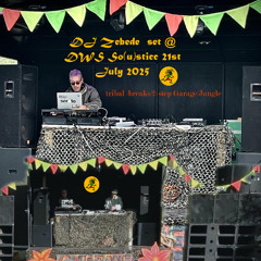 Zebede aka Dr dave- 2025 DUNEDIN winter so(u)lstice 30th Solstice