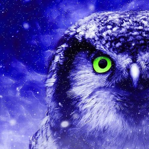 Für Nachteulen von TiDUs