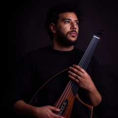 Avicii Feat. Mostafa Ghazal - Speed (Men Alby Baghani)