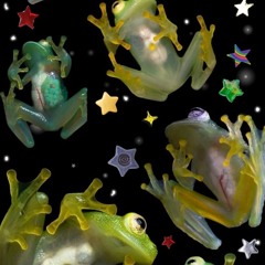 Last Christmas X NMIXX Bigwave 9lives (choppy mix)