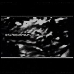 distorted diary w/ smr.tni