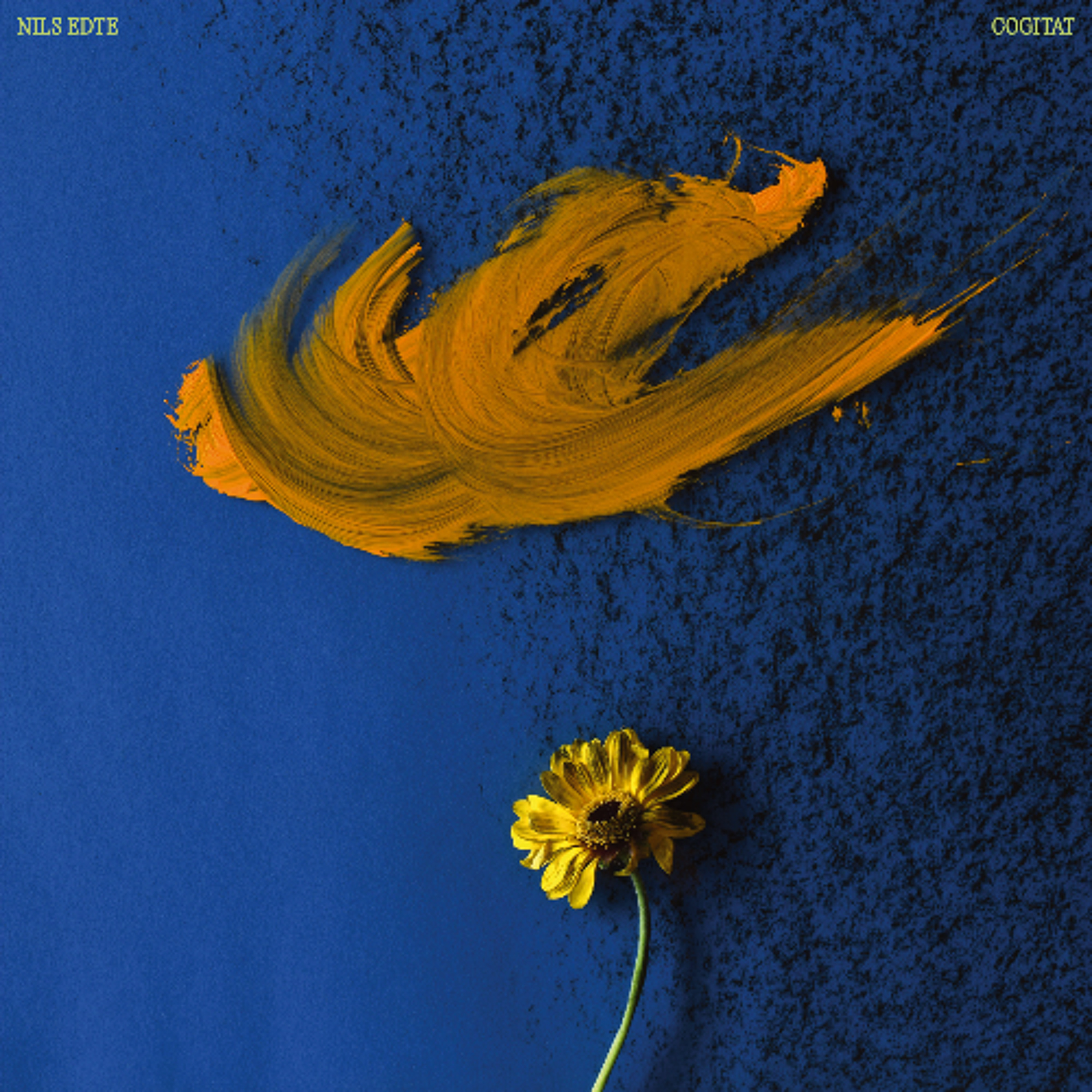 PREMIERE: Nils Edte - Cogitat II [Predawn Records]