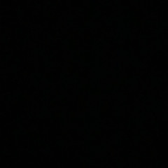 Nicu Paleru banii si puterea