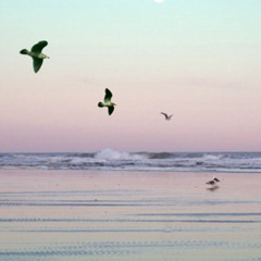 Destination