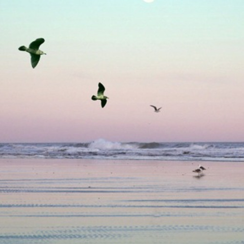 Destination