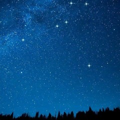 passarin - céu feliz