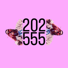 202555