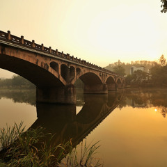 「フリートラック・トラック提供/No74」"Sunshine"