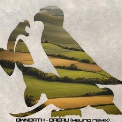 Bwncath - Caeau (meurig remix)