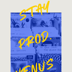 STAY (prod. venus)