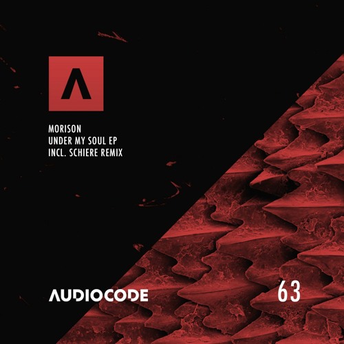 TC Premiere: Morison - Under my Soul [ AudioCode Records ]