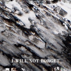 I Will Not Forget