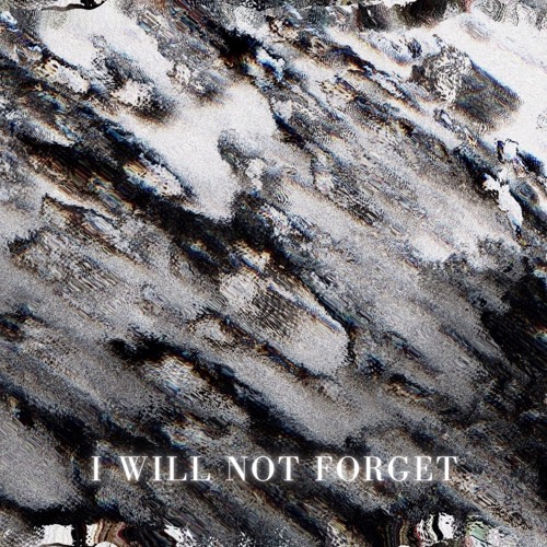 I Will Not Forget