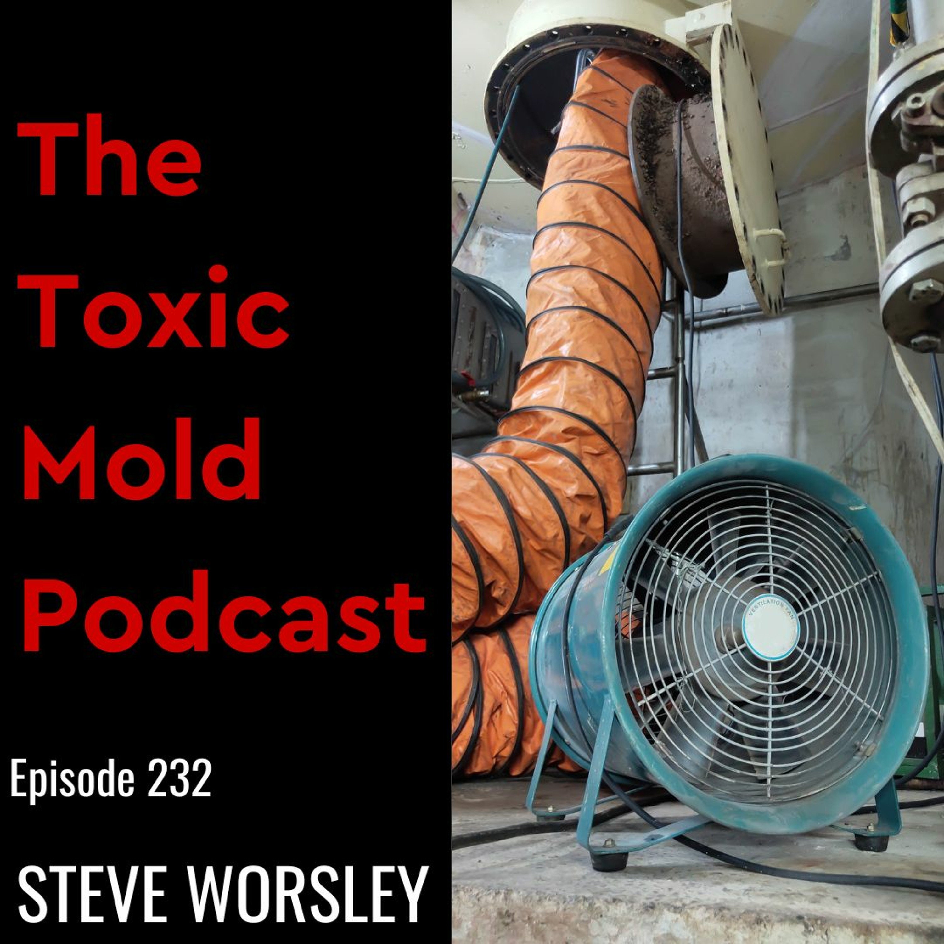 The Toxic Mold Podcast