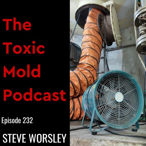 EP 232: How Poor Ventilation Leads to Black Mold