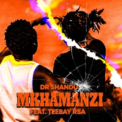 Mkhamanzi (feat. Teebay)