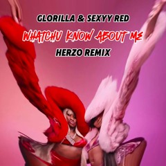 Glorilla & Sexyy Red - Whatchu Know About Me (Herzo Remix)