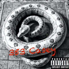 353 CASEY- Snakes & Ladders