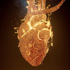 القلب المُلتَهب.