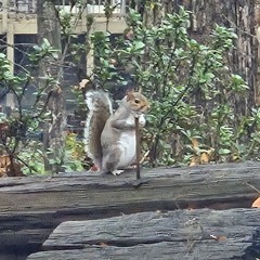 [TRY HARDER] ObliqueANGLS (Ft ViktorHarter)