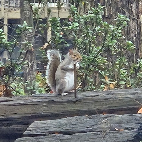 [TRY HARDER] ObliqueANGLS (Ft ViktorHarter)