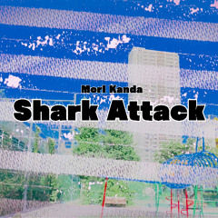 Shark Attack - Tabor Pipe,Ovation Applause UA20 Ukulele,Customized Mridangam,