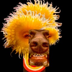 Listen To My Beats by konceptualizer