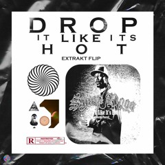 Snoop Dogg - Drop It Like Its Hot (Extrakt Flip)