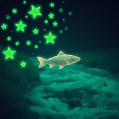 Swim, fish, swim