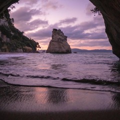 Shoreline
