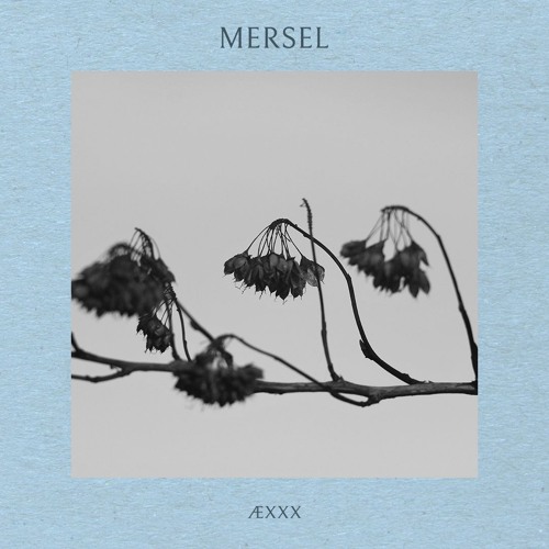 ÆXXX - Mersel