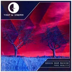 Broken Drum Machine - Fake Reality