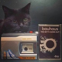 post-punk/waves