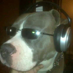 fame is a gun (harewin remix)