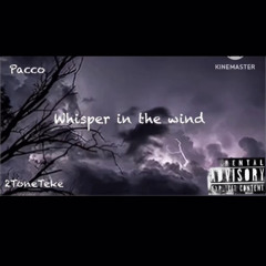 Pacco ~ Whisper in The Wind  Ft teke