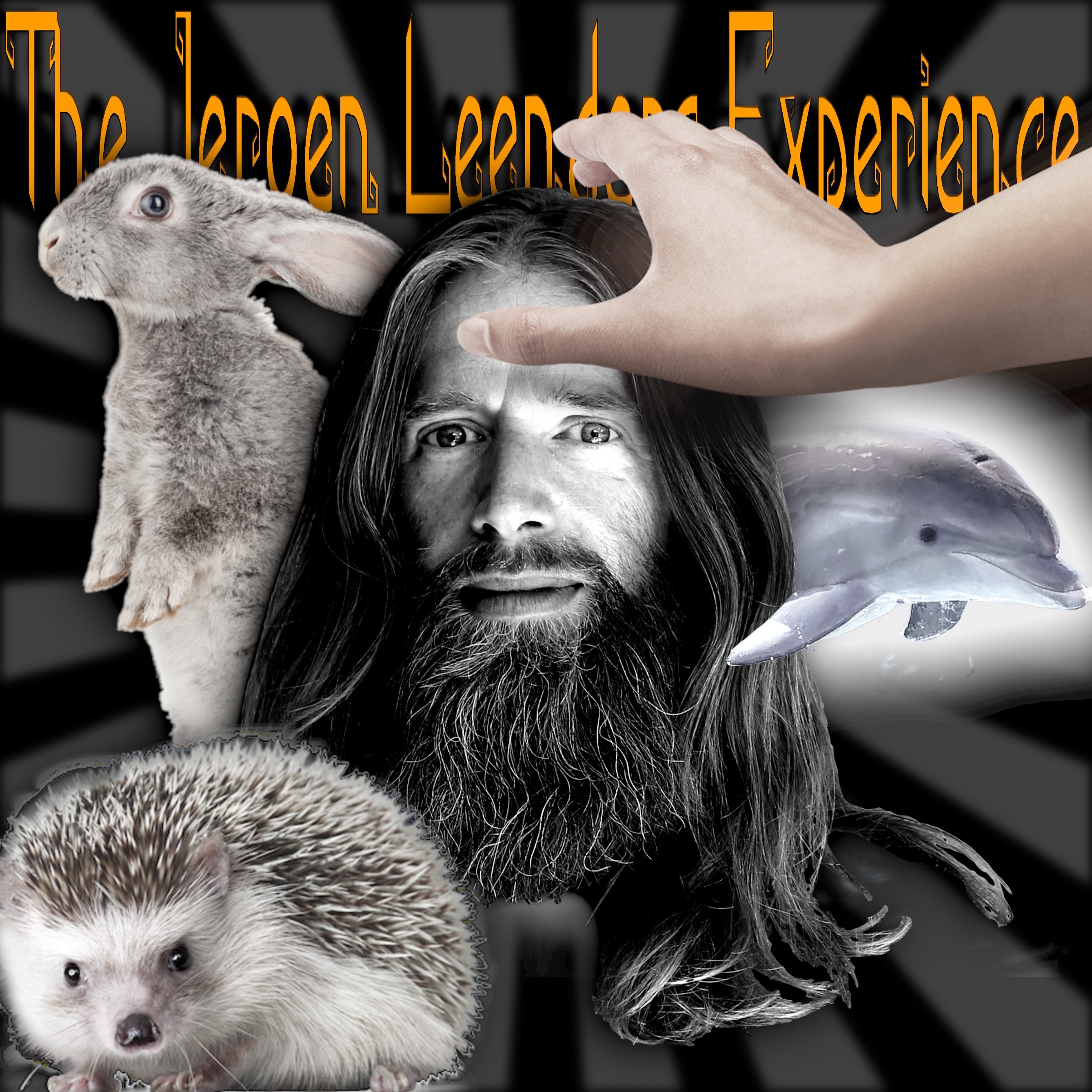 Jeroen Leenders Experience