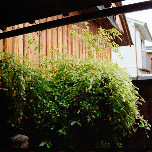 Three Flows in Quartet (2023)