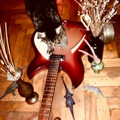 stream (demo vox, 2018)