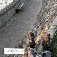 Pajaritos