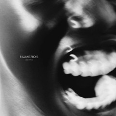 NUMERO.5