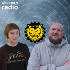 Fallet Erik Helgeson, del II