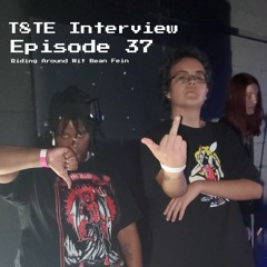 T8TE Interview