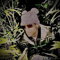 KAYSAN [22nate]